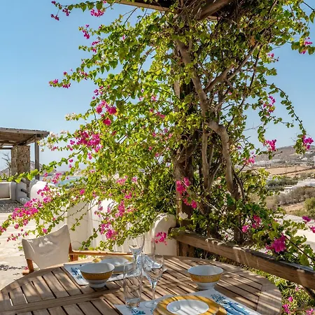 Alisachni House Mykonos Kalafatis